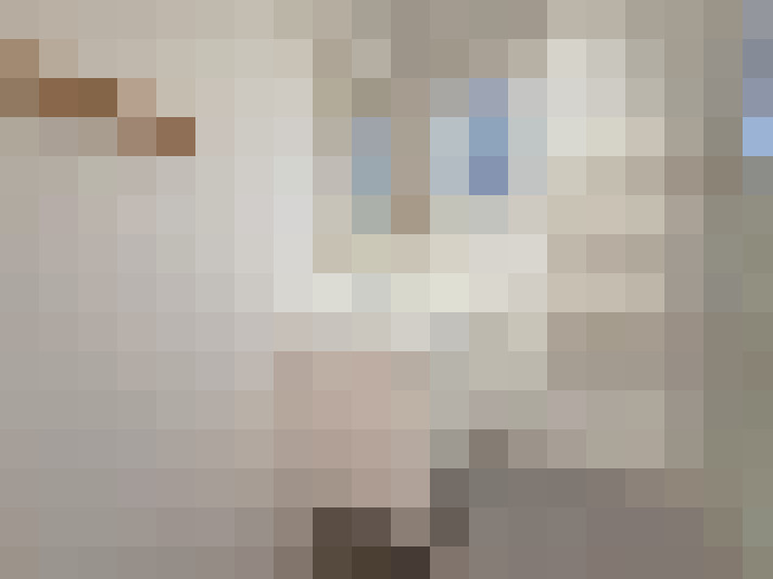  / #11