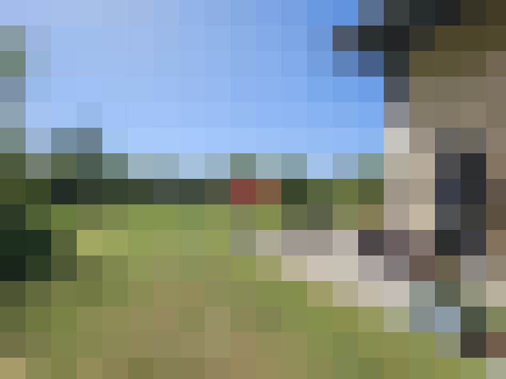  / #15