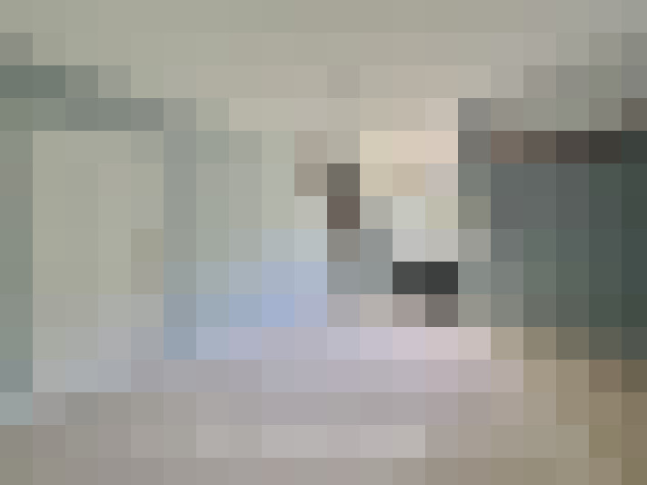  / #11