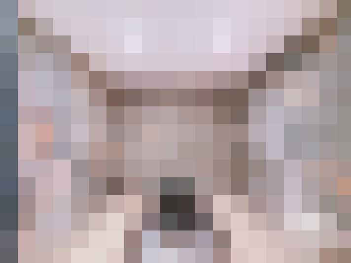  / #14