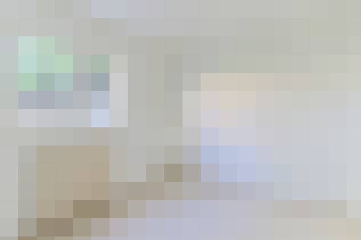  / #11