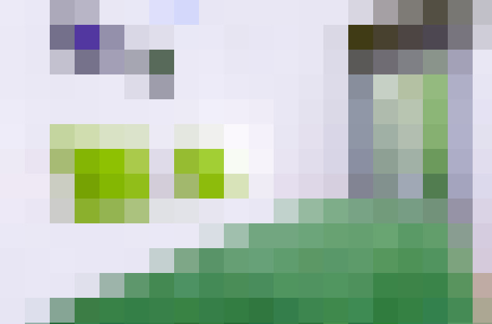  / #20