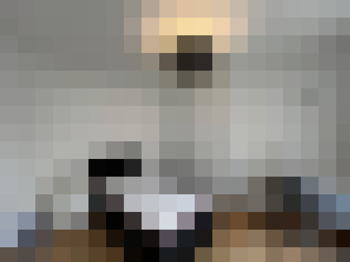 / #11