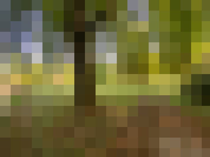  / #16