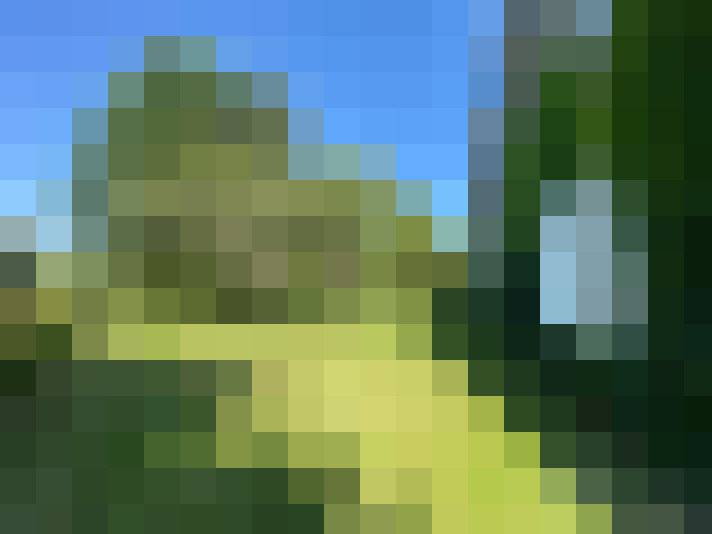  / #14