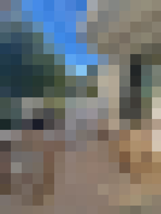  / #15