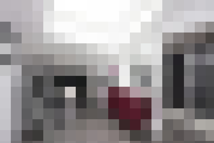  / #21