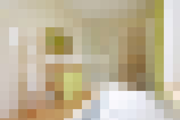  / #20