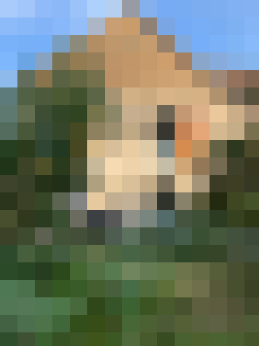  / #7