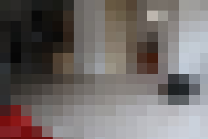  / #15
