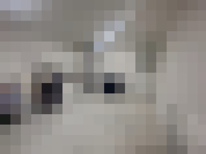  / #13