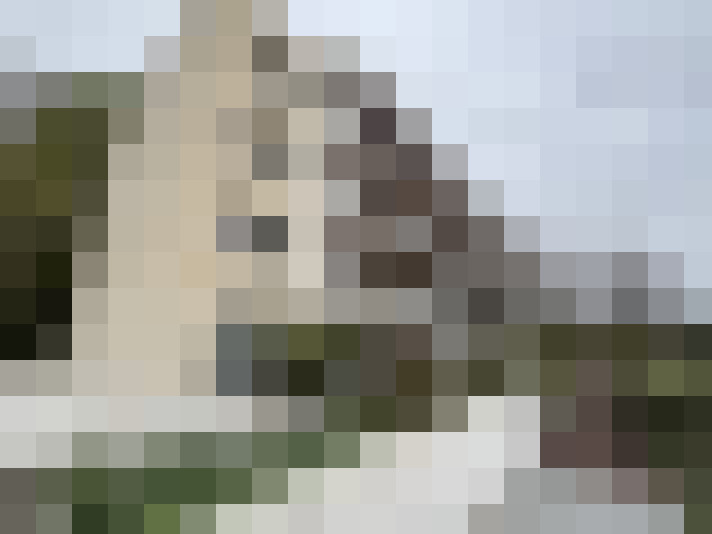  / #17