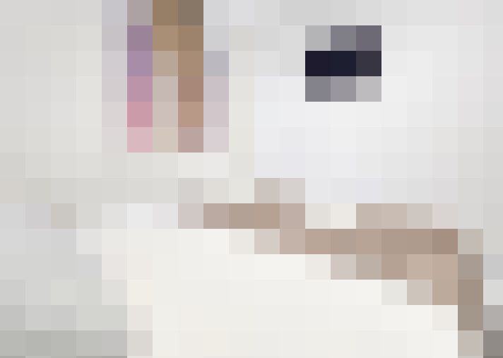  / #16