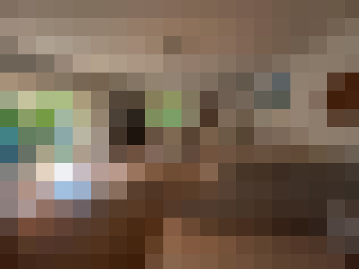  / #11