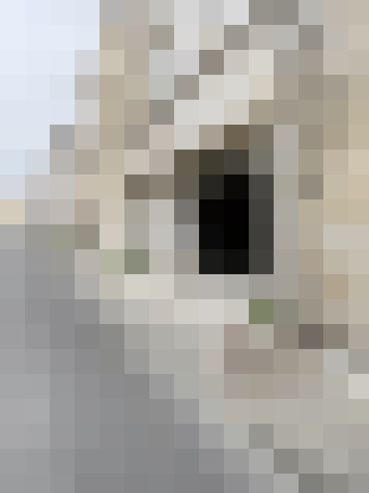  / #15