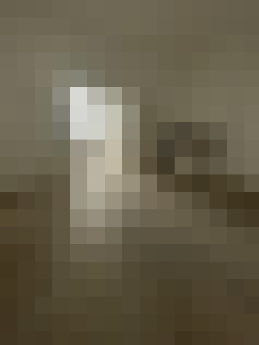  / #13