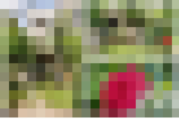  / #18