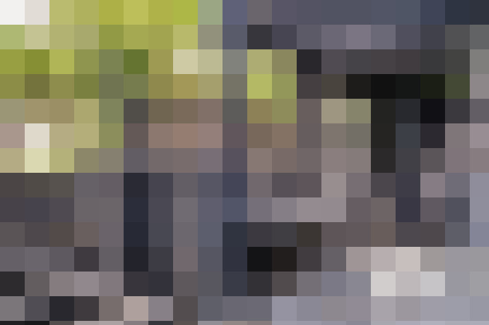  / #17