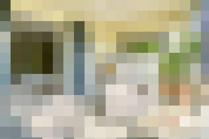  / #24
