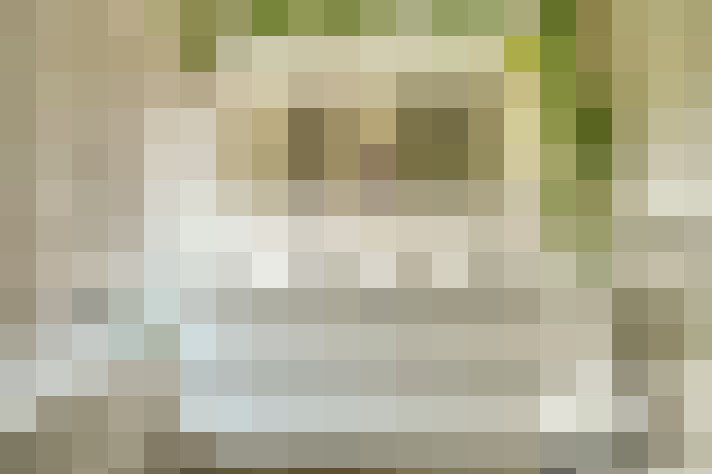  / #11