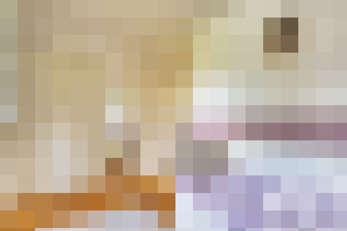  / #19