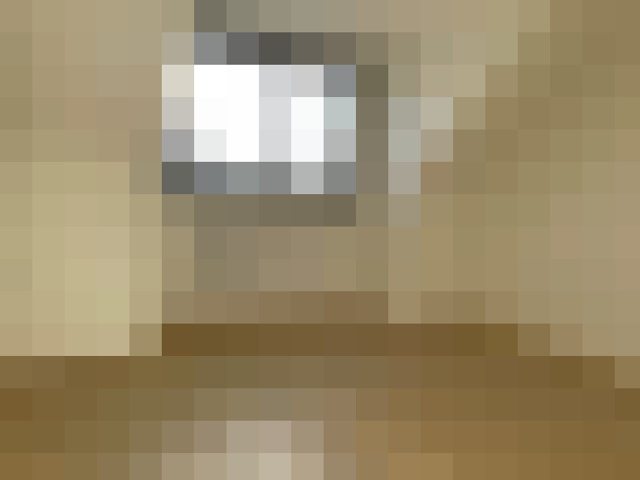  / #19