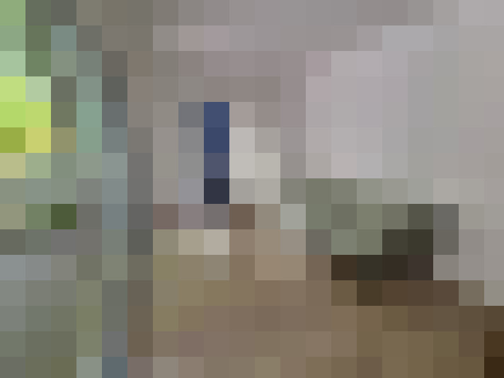  / #11