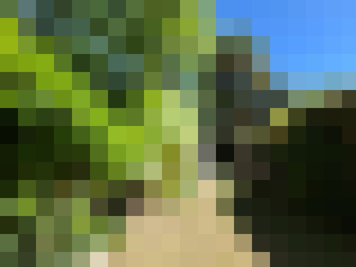  / #12