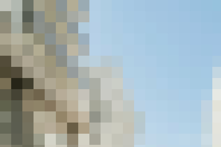  / #17