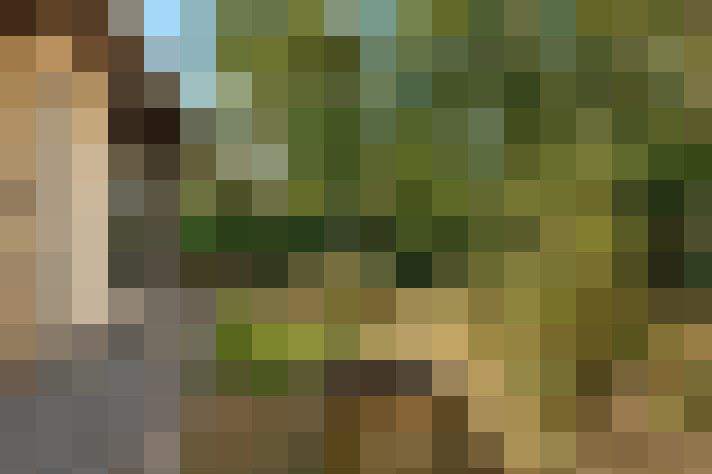  / #13