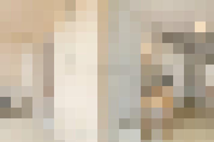  / #15