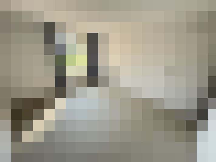  / #17