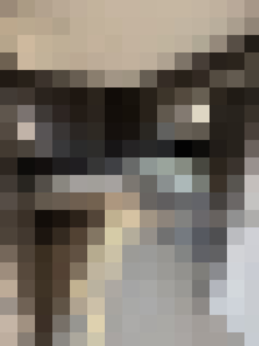  / #15
