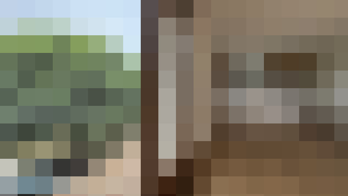 / #15