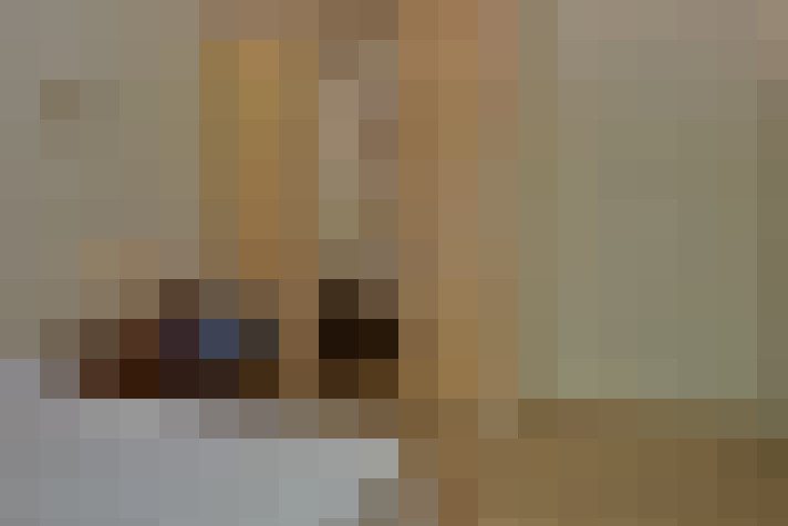  / #10