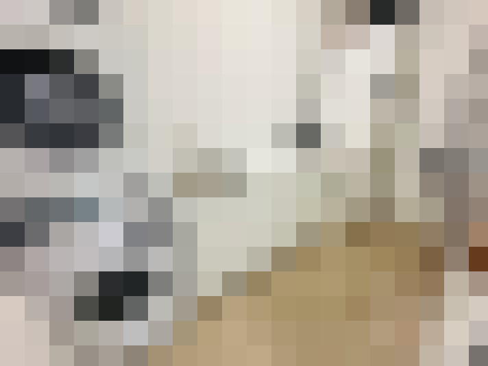  / #23