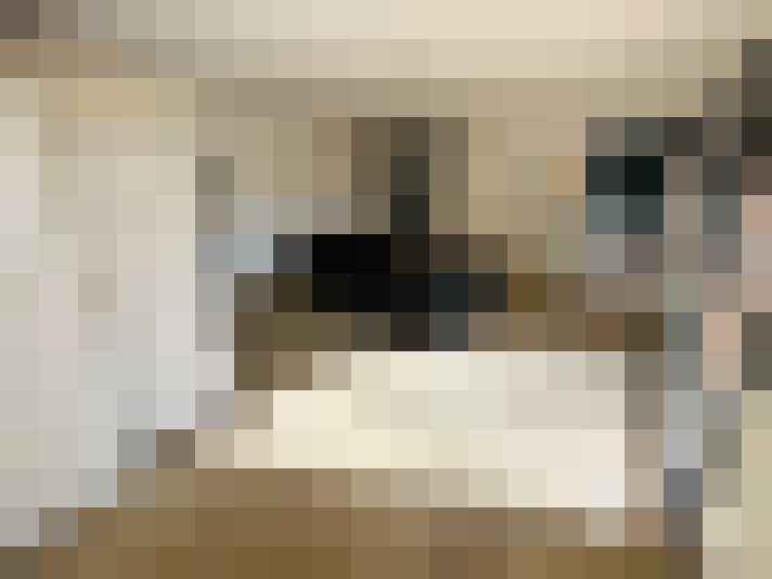  / #8