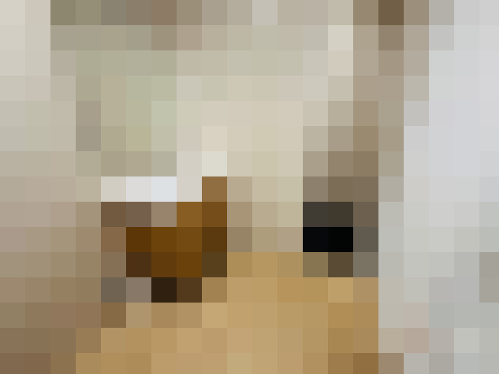  / #12