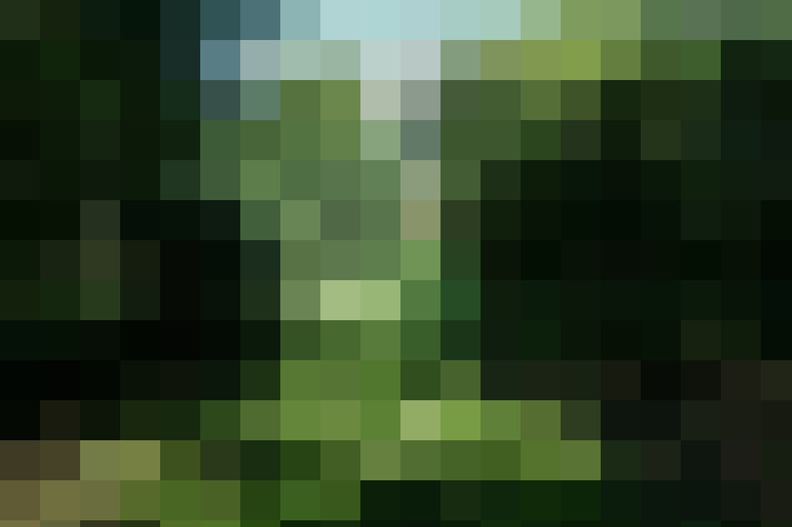  / #16