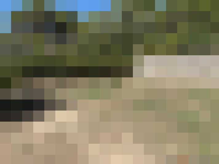  / #18