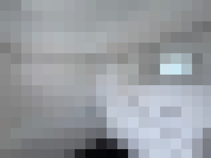  / #14