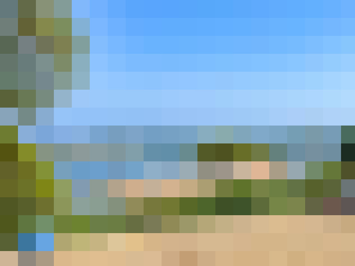  / #11