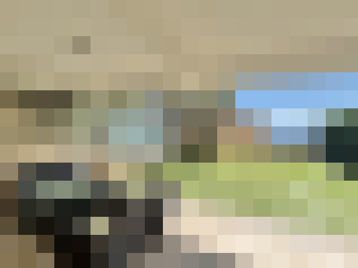  / #16