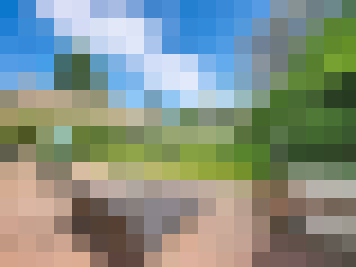  / #17