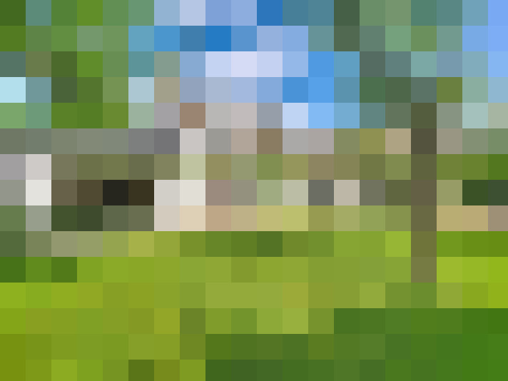  / #15