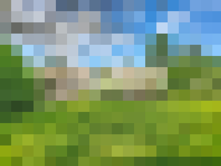  / #16