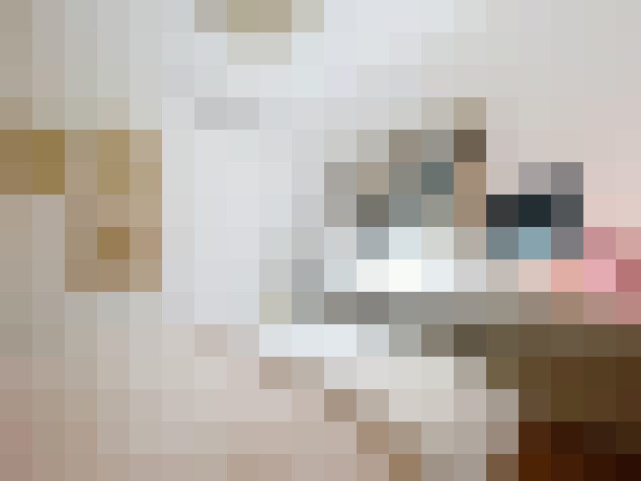  / #13