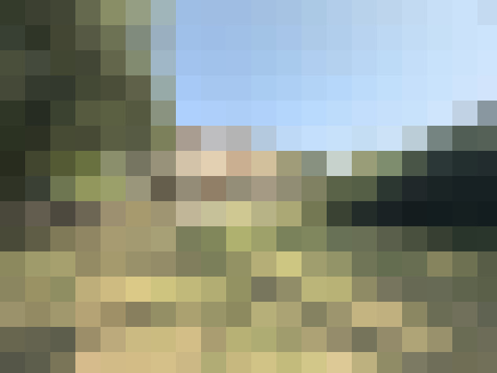  / #16