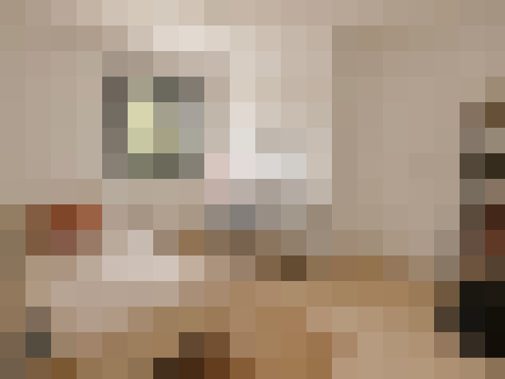  / #7