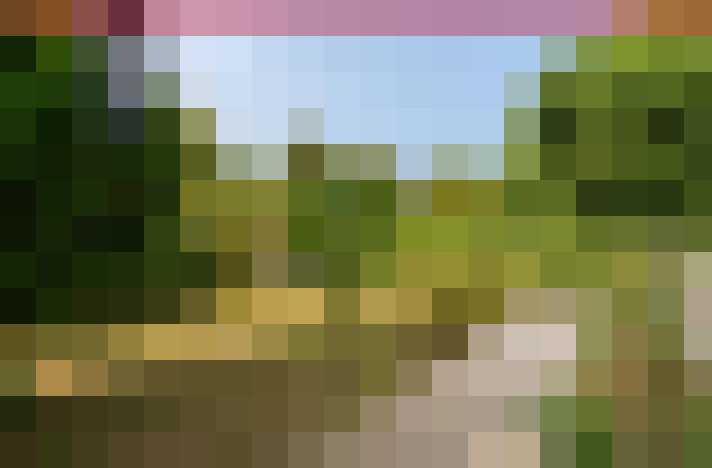  / #14